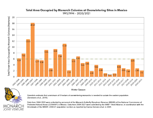 “All hands on deck” in Face of Eastern Monarch Declines