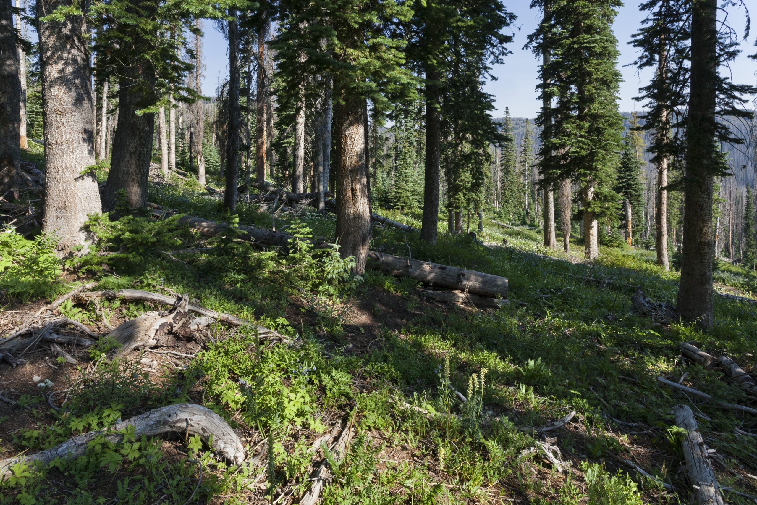 Colorado’s Outdoors Strategy