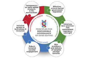 NGO Gene Editing Roundtable